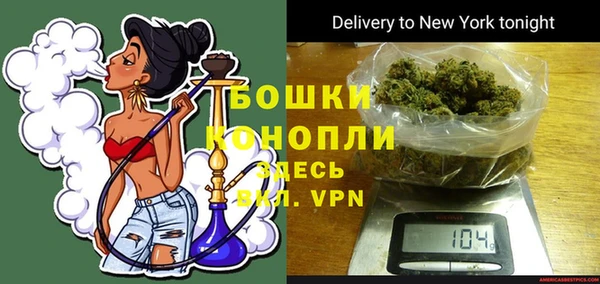 МДПВ Богородск