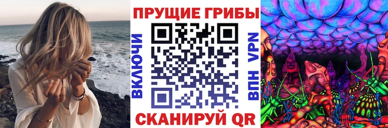 Галлюциногенные грибы прущие грибы  как найти закладки  Кушва 