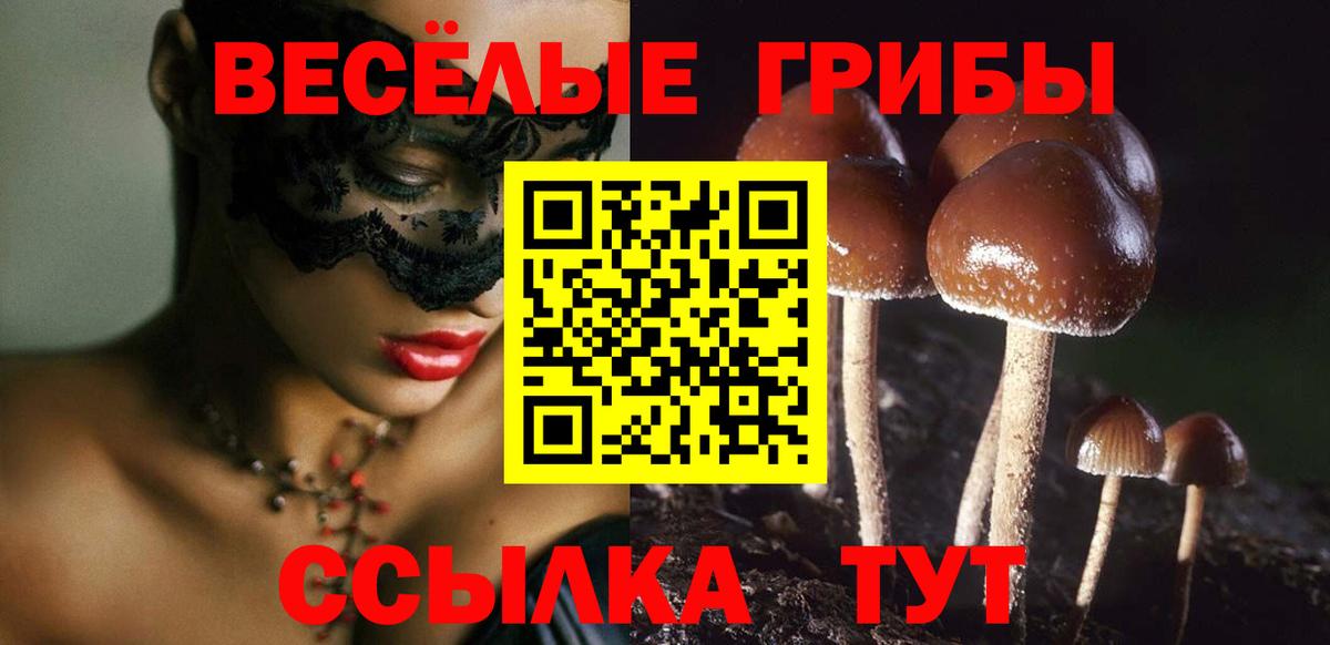 Кушва  Галлюциногенные грибы Magic Shrooms  Вход с VPN 