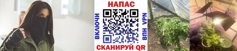 Конопля тримм Кушва